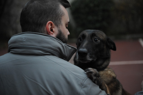 malinois chien sécurité privée paris ile de france