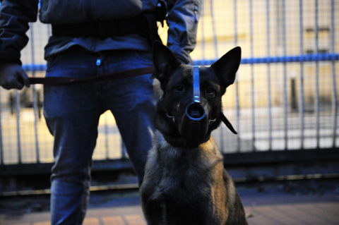 La mission d'interception par un maitre-chien sur Paris ile de france