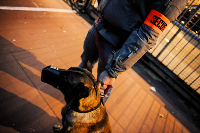 Brigade canine - maitre chien avec son chien